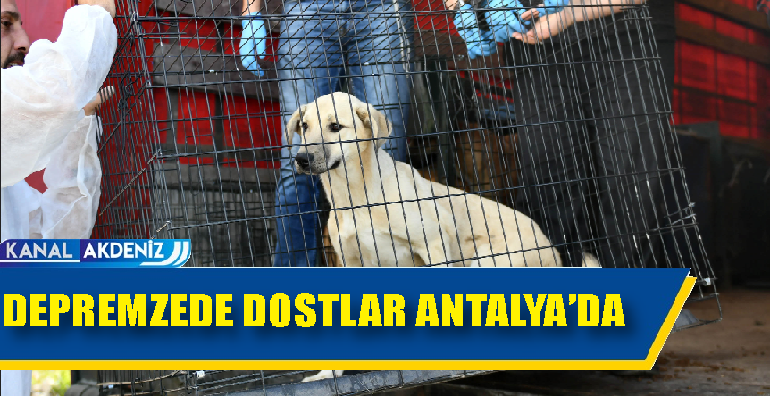 DEPREMZEDE DOSTLAR ANTALYA'YA GETİRİLDİ